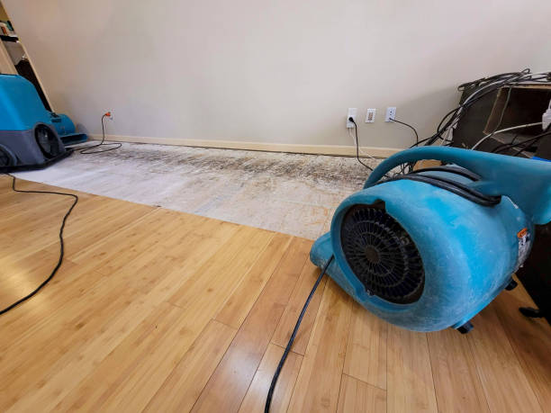 Professional Emergency Water Damage technician working in Slingerlands, NY